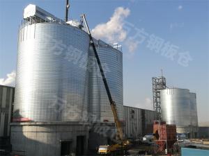 石化（鍛后焦、石油焦）